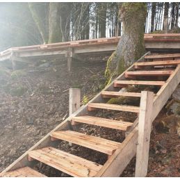 structure escalier douglas massif pour l'extérieur