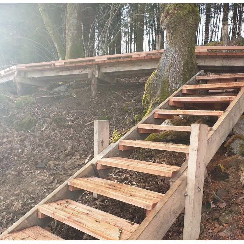 structure escalier douglas massif pour l'extérieur