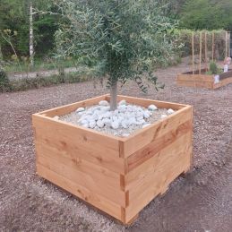 Jardinière 1m x 1m en...